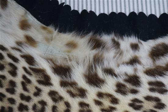 A taxidermic leopard skin rug, with label Vaningen & Vaningen Mysore, L.260cm